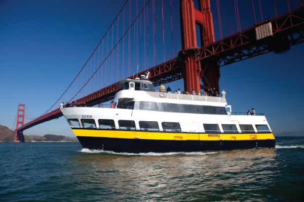 Cruises and Boat Tours
