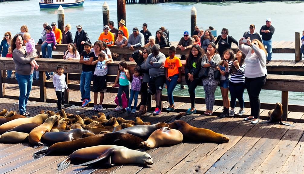 marine life observation activity